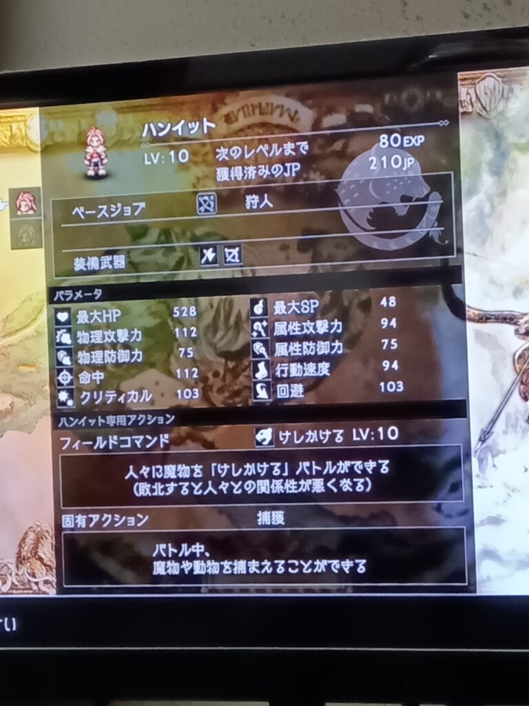 ハンイットのレベルが10の時のステータス