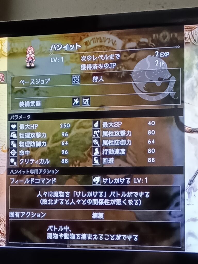 ハンイットのレベル1のステータス画面