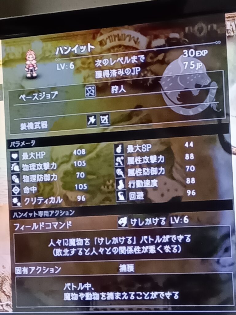 ハンイットのレベル6のステータス画面