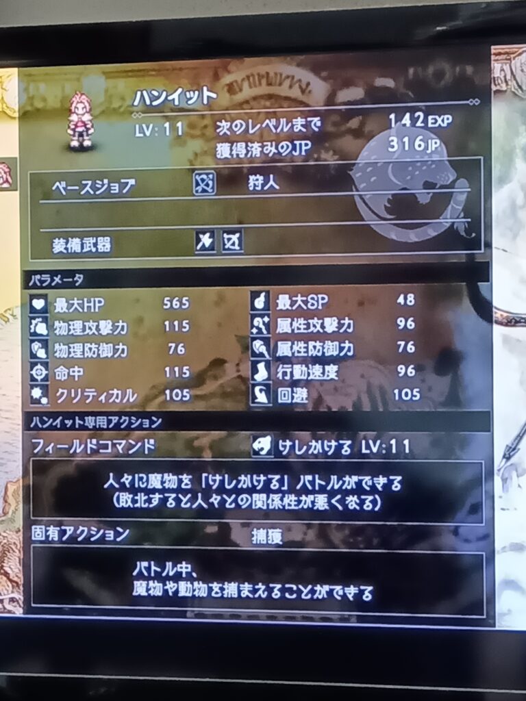 ハンイットのレベル11のステータス画面
