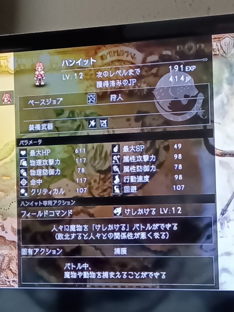 ハンイットのレベル12のステータス画面