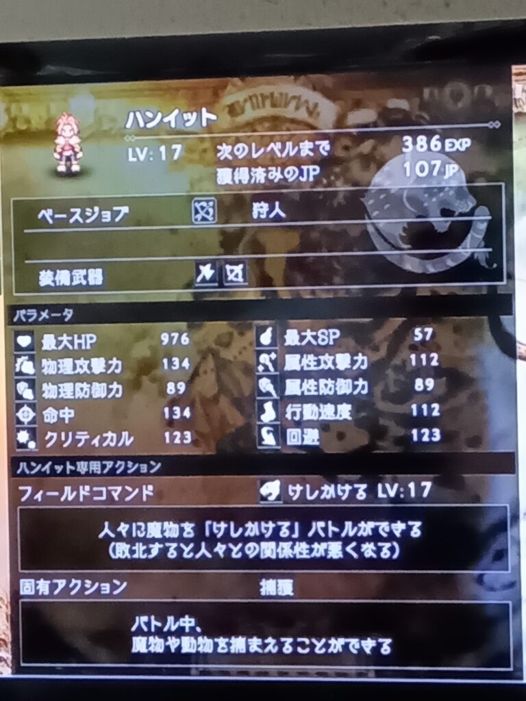 ハンイットのレベル17のステータス画面