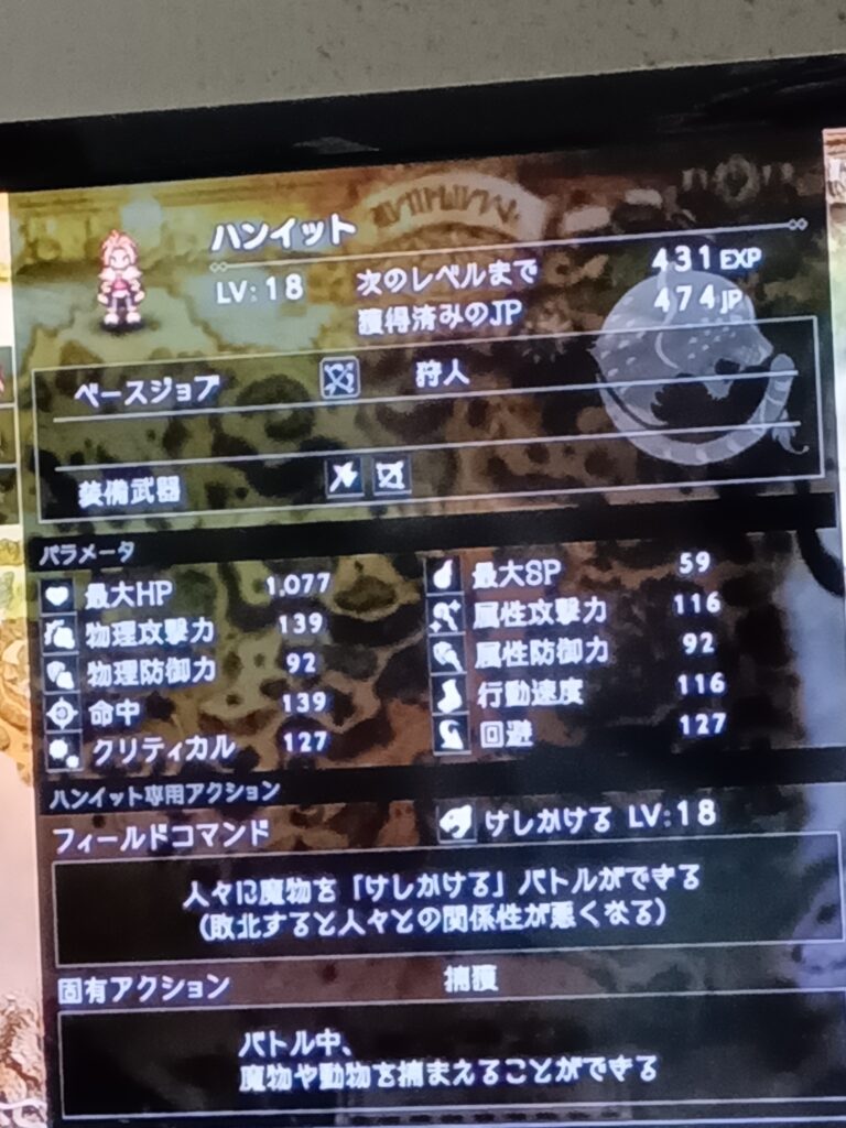 ハンイットのレベル18のステータス画面