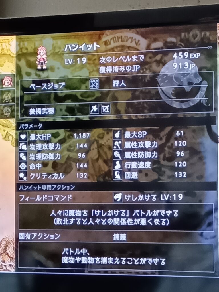 ハンイットのレベル19のステータス画面