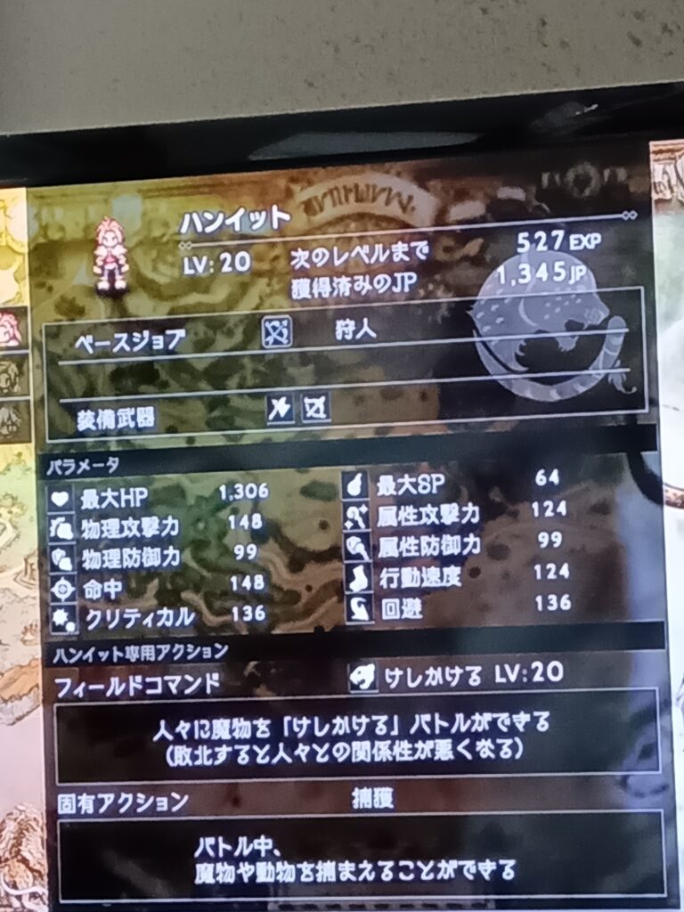 ハンイットのレベル20のステータス画面