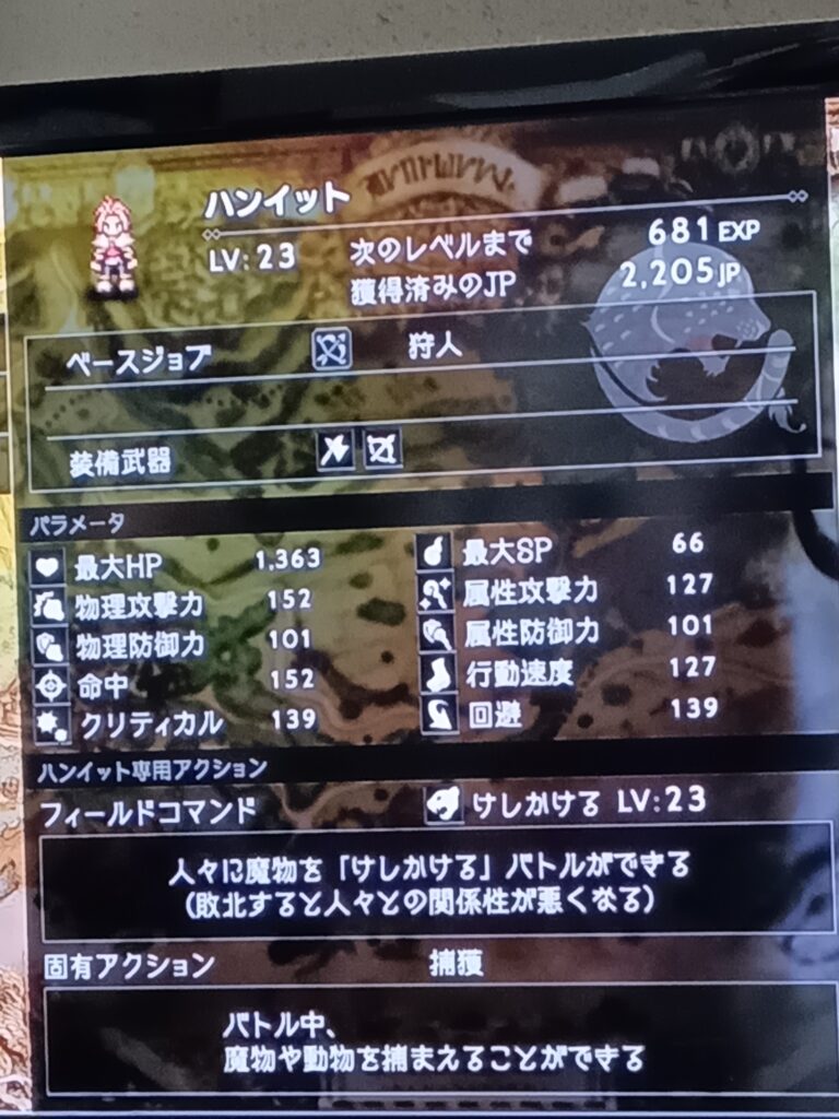 ハンイットのレベル23のステータス画面