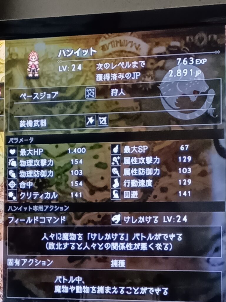 ハンイットのレベル24のステータス画面