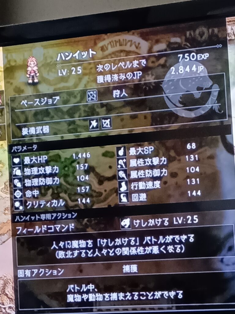ハンイットのレベル25のステータス画面