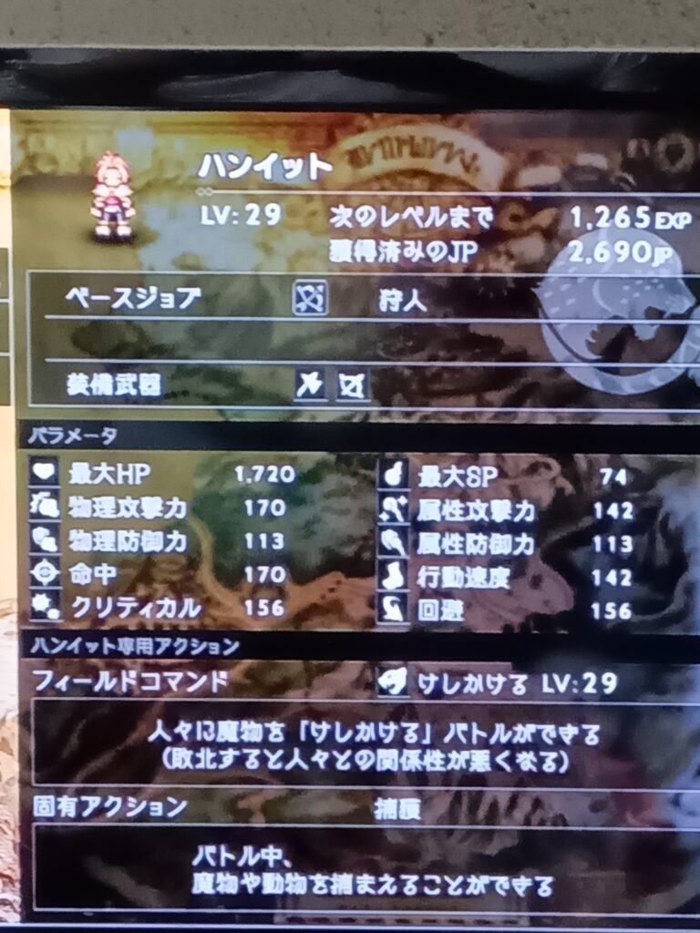 ハンイットのレベル29のステータス画面
