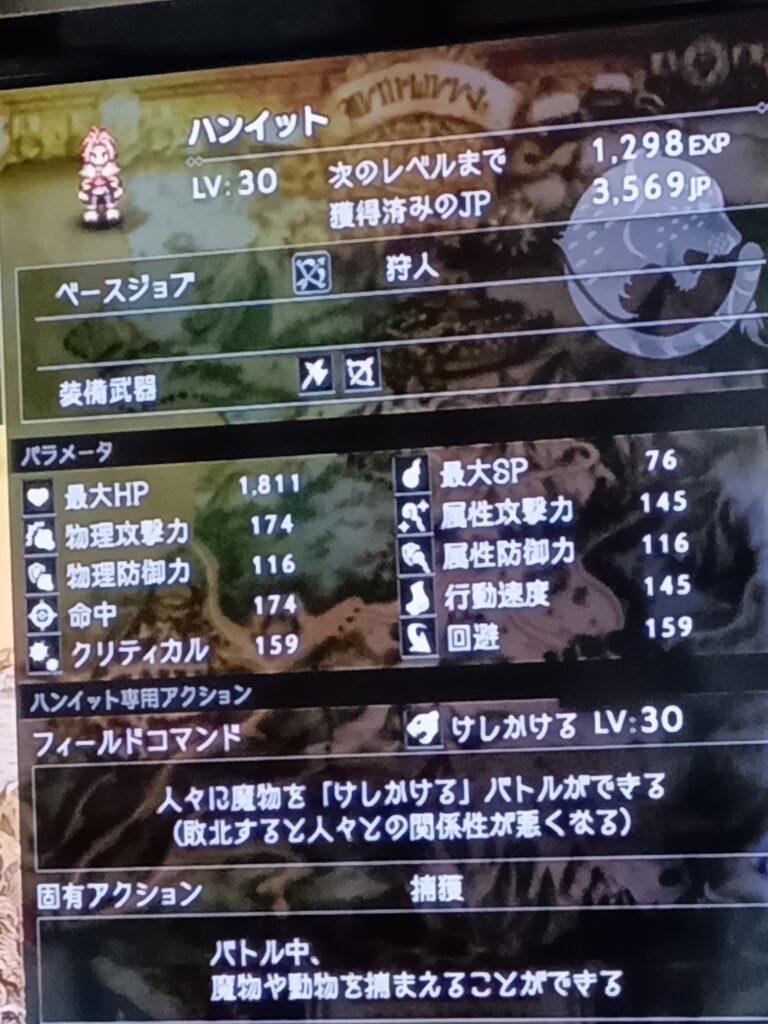 ハンイットのレベル30のステータス画面