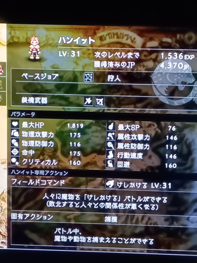 ハンイットのレベル31のステータス画面