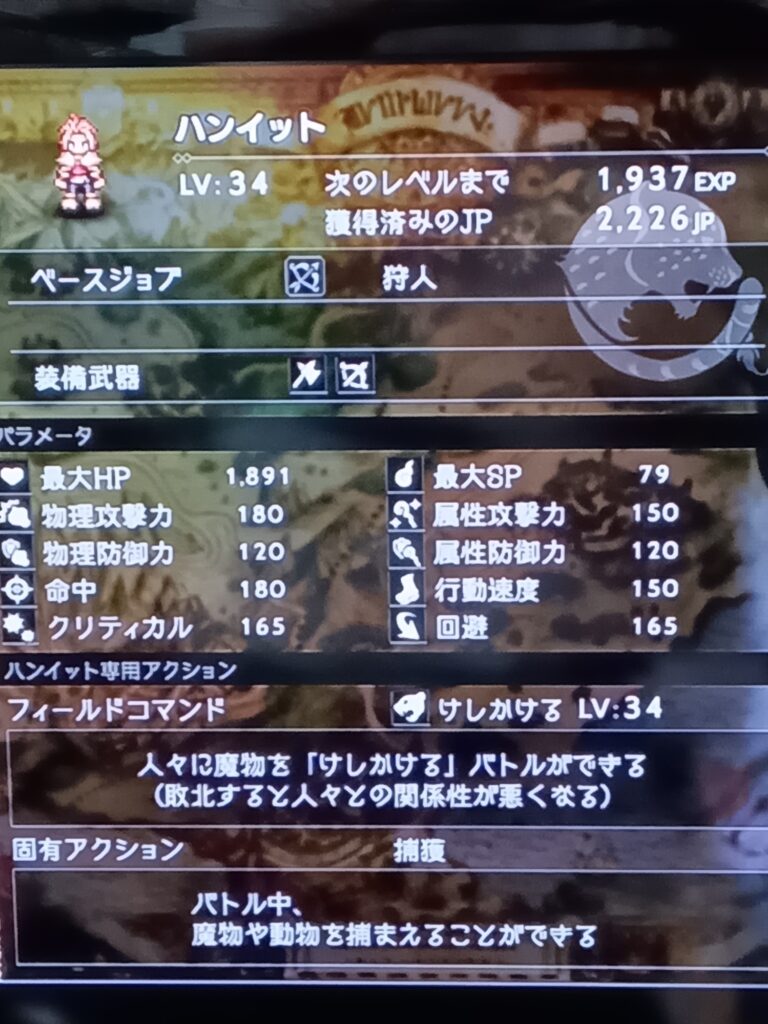 ハンイットのレベル34時のステータス画面