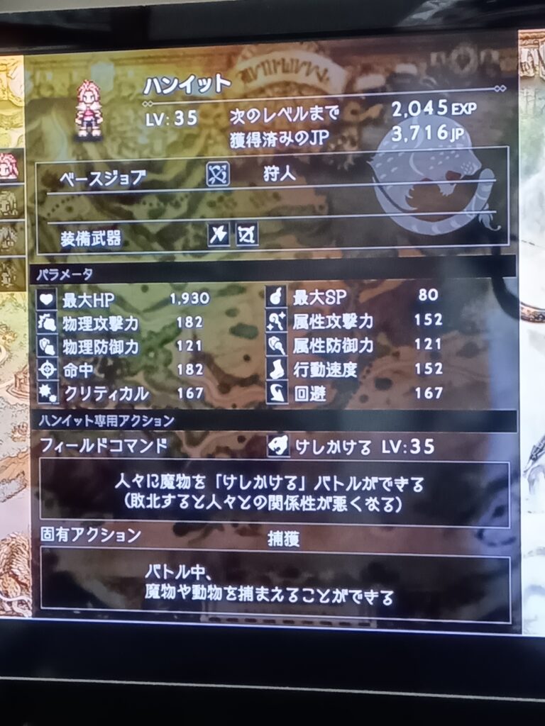 ハンイットのレベル35時のステータス画面